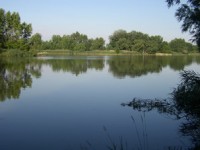 /album/vah/vah-11-jpg/