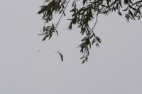 /album/vah/p1010796-resize-jpg/