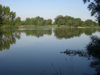 /album/sintava/p1010007-jpg/